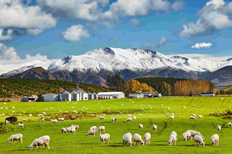 /images/default-source/global-library/insights/generic/custom/2610-new-zealand-fixed-income-monthly-(september-2026)-thumb.tmb-rs800x600.jpg?Culture=en&sfvrsn=c39fac59_1